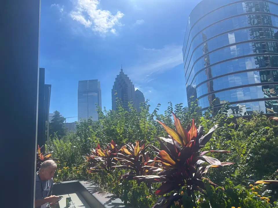 Atlanta Office Market Sees Record-Low Leasing Activity as Renewals Dominate Amid High Costs
